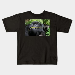 Silverback Gorilla Eating,  Hirwa Group,  Rwanda,  East Africa Kids T-Shirt